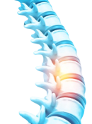 Teach with the world’s most advanced 3D anatomy platform